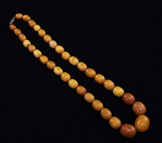 A single strand graduated amber bead necklace, 17in.